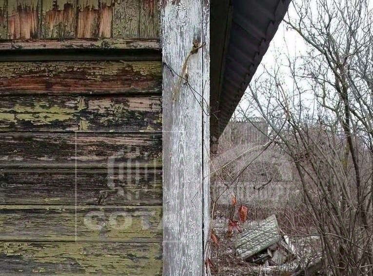 дом г Воронеж р-н Советский снт тер.Дзержинец-1 ул Лозовая фото 9