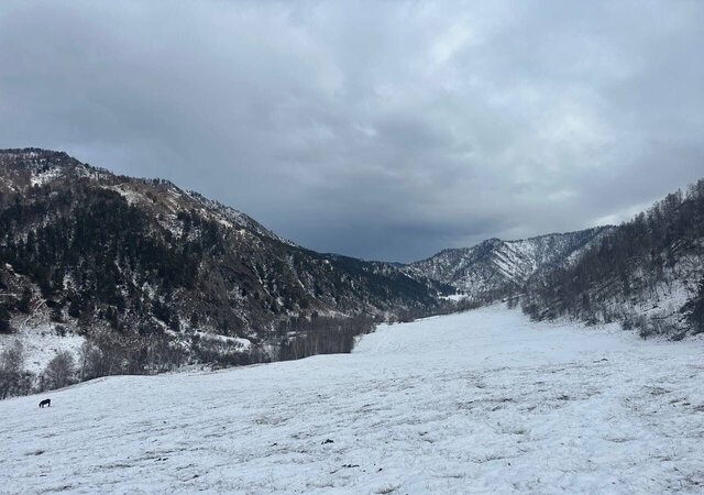 с Уожан ул Заречная Онгудай фото