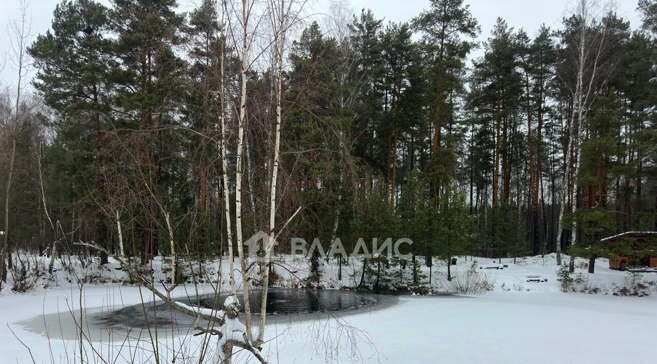 земля городской округ Раменский д Аксеново снт Поляны Удельная, 41 фото 3