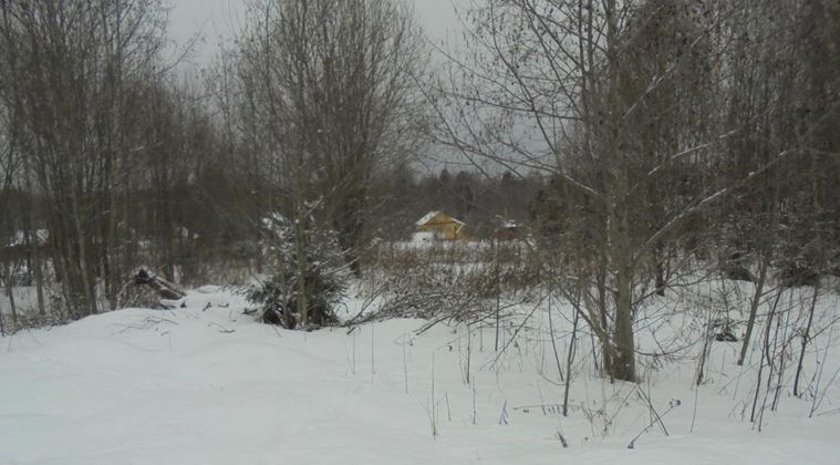 офис городской округ Дмитровский д Михеево-Сухарево фото 1