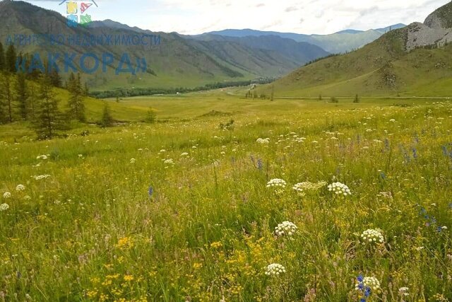 земля с Онгудай ул Онгудайская Онгудайское сельское поселение фото