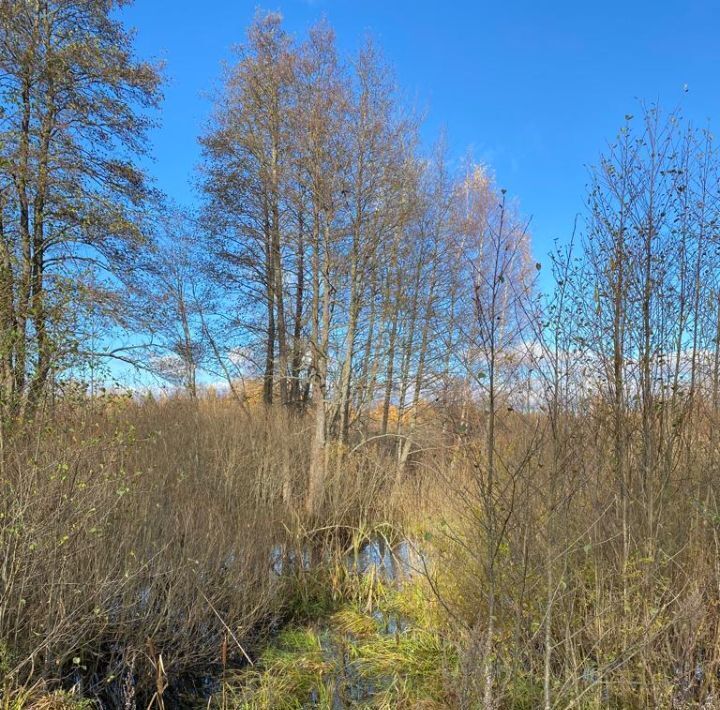 земля Пушкиногорье городское поселение, д. Усы фото 1