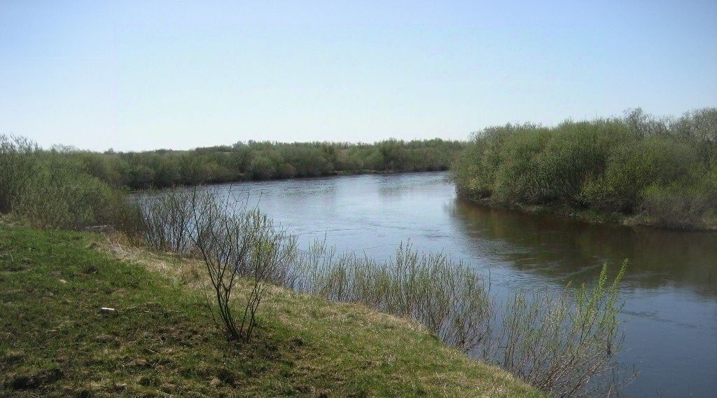 земля р-н Пушкиногорский д Печехново Пушкиногорье городское поселение фото 18