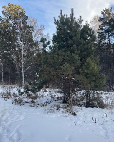 земля пер Буденова сельсовет, Красноярск, Элитовский фото