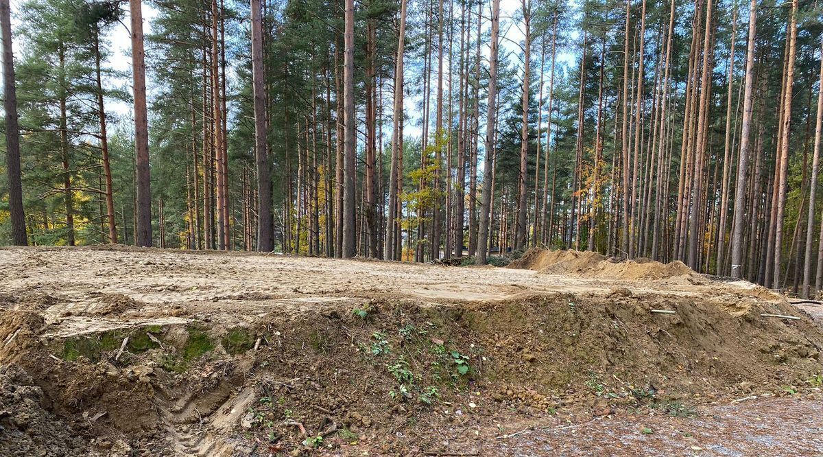 земля р-н Всеволожский д Коркино Колтушское городское поселение, Улица Дыбенко фото 2