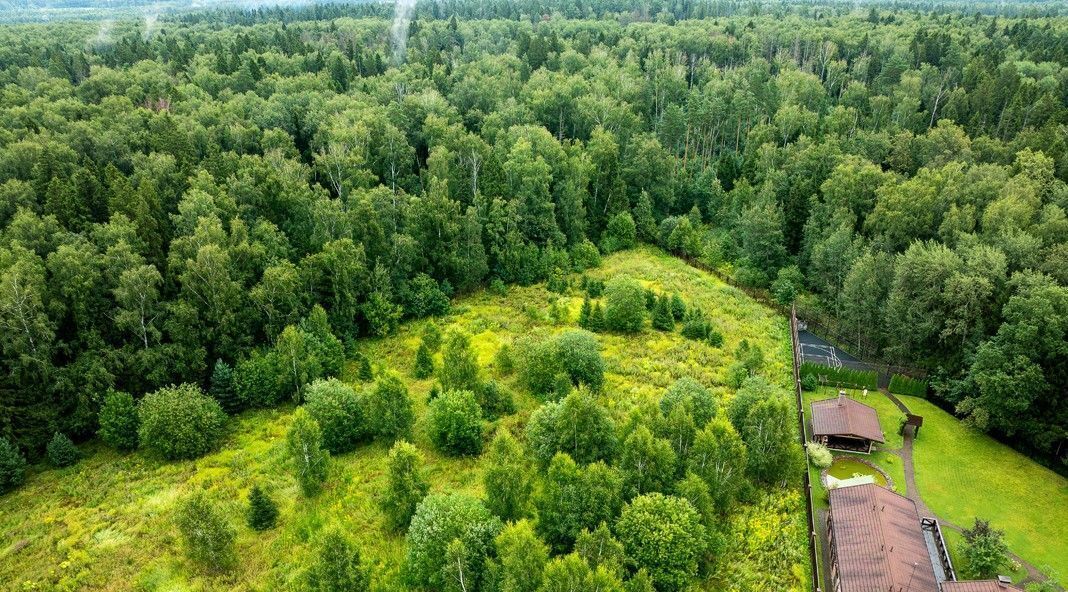 земля городской округ Мытищи д Степаньково ул Верхняя Парусная Хлебниково фото 4