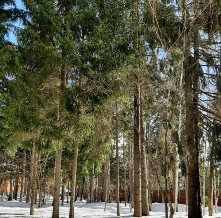 земля городской округ Наро-Фоминский д Новоглаголево проезд Центральный 3-й Апрелевка фото 3