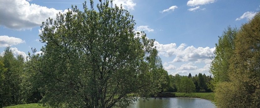 земля городской округ Волоколамский д Иванцево фото 6