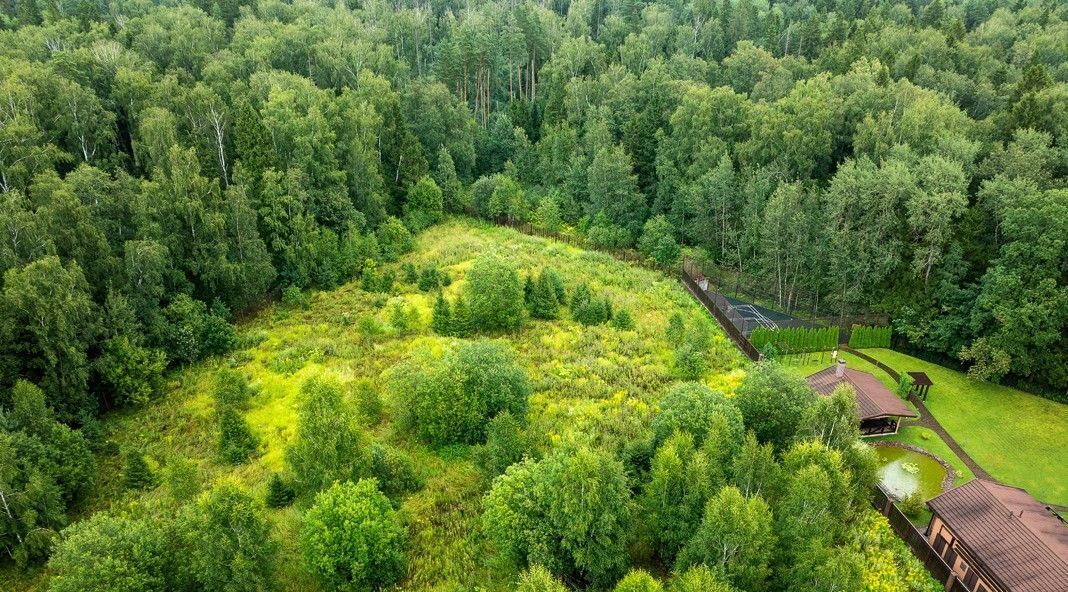 земля городской округ Мытищи д Степаньково ул Верхняя Парусная Хлебниково фото 11