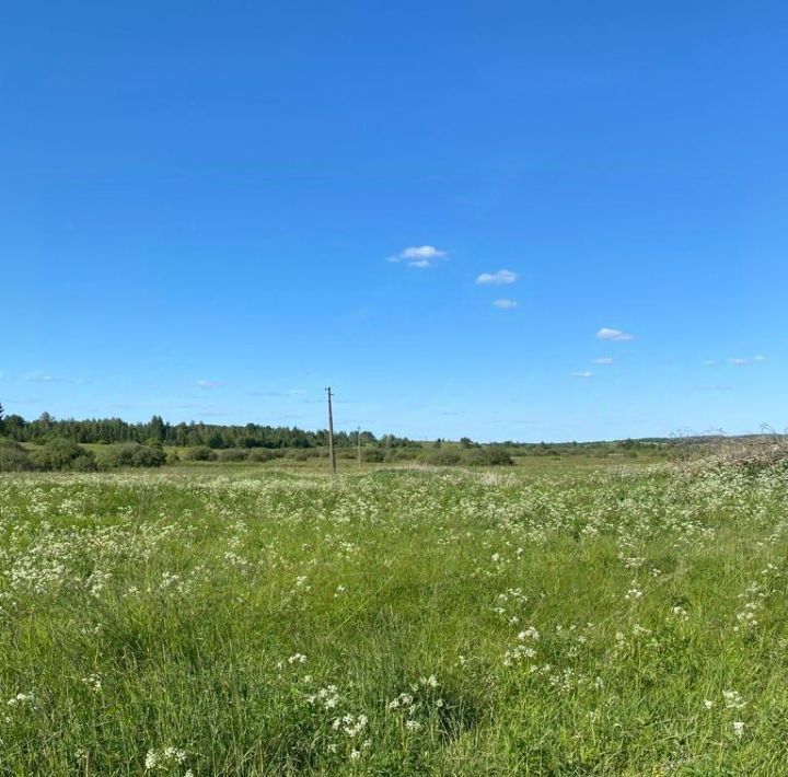 земля р-н Пушкиногорский д Приворот Пушкиногорье городское поселение фото 7