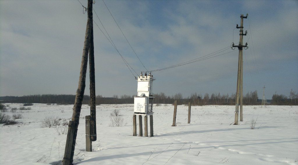 земля р-н Пушкиногорский д Апарино Велейская волость фото 7