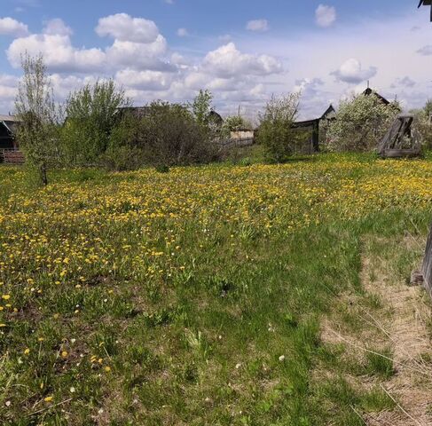 Качканарский городской округ, Сад № 6 садовые участки фото