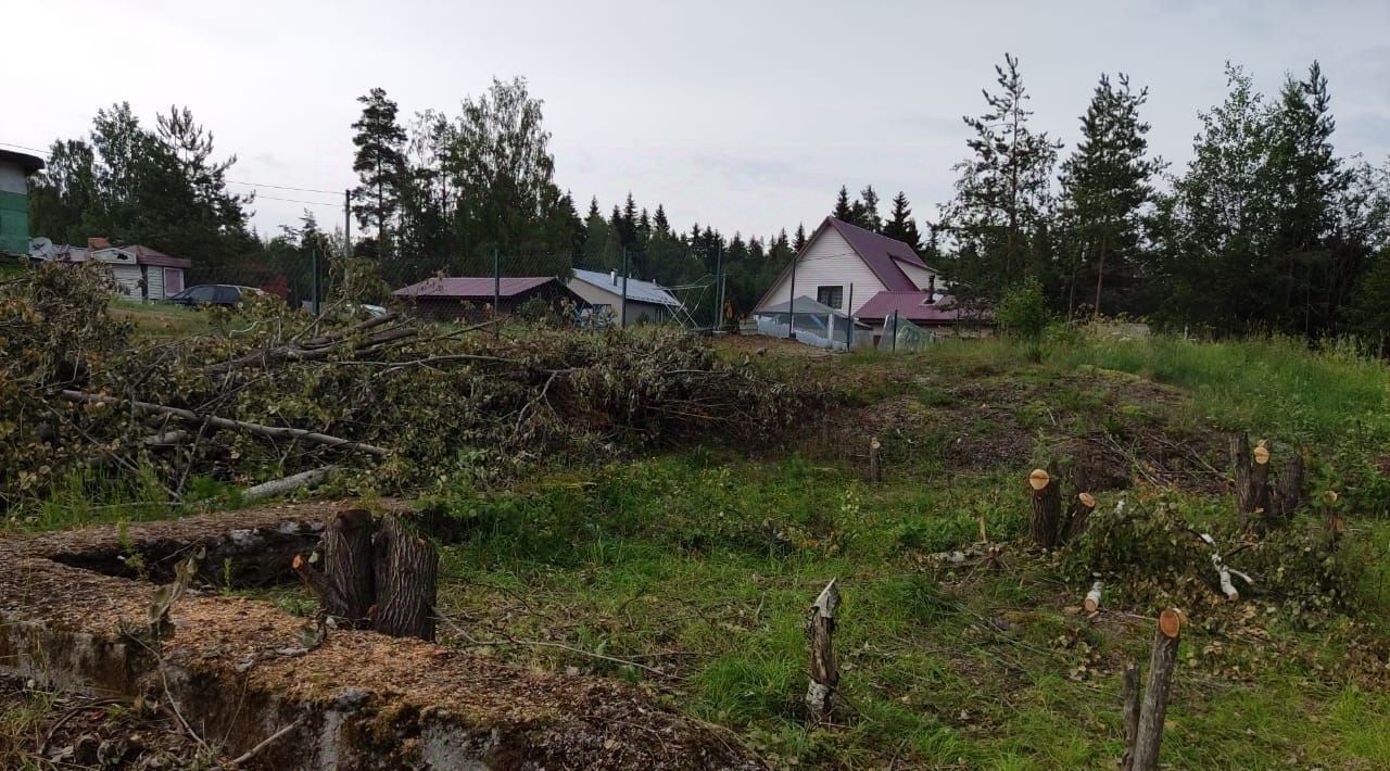 земля р-н Выборгский г Выборг ул Пушкинская Калининский фото 4