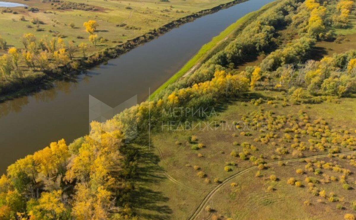 земля р-н Викуловский д Борки Викулово фото 2