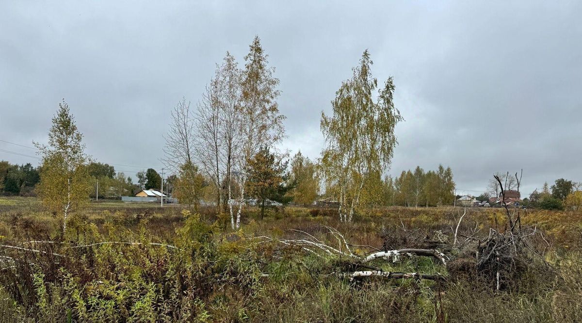 офис городской округ Богородский п Обухово Ленинская тер фото 1