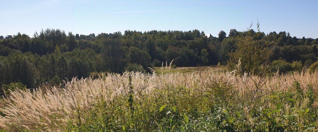 офис городской округ Сергиево-Посадский д Махра фото 3