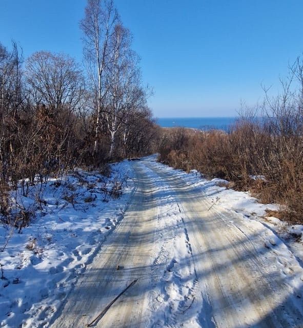 земля г Находка ул Хребтовая Находкинский городской округ фото 1