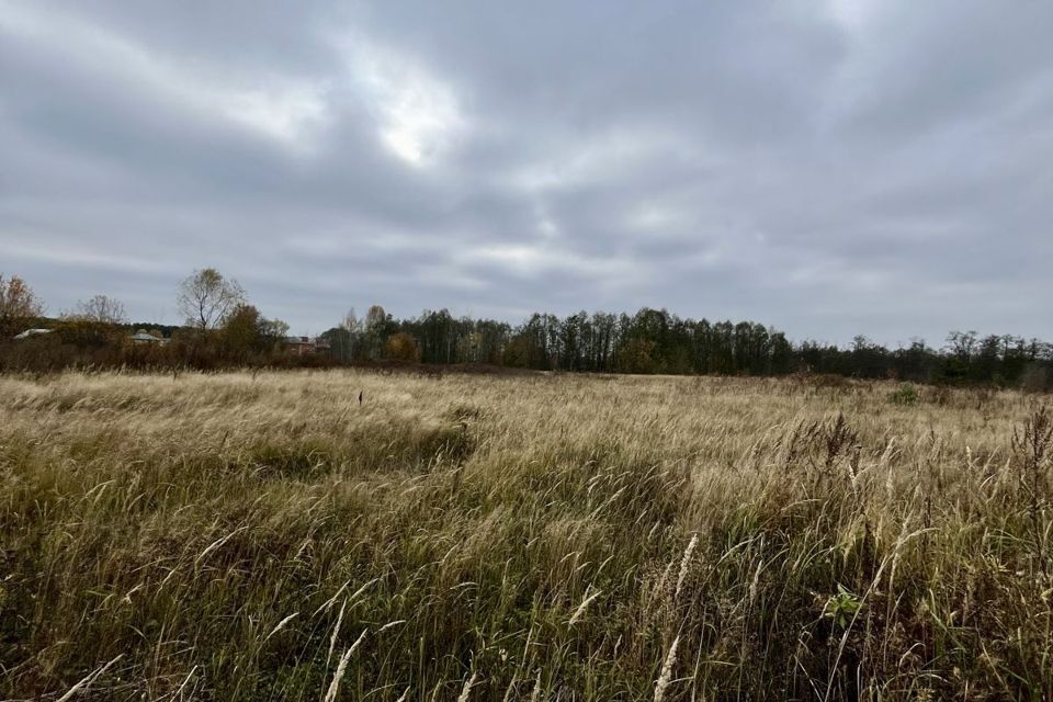 земля г Казань р-н Авиастроительный Казань городской округ, Авиастроительный фото 3