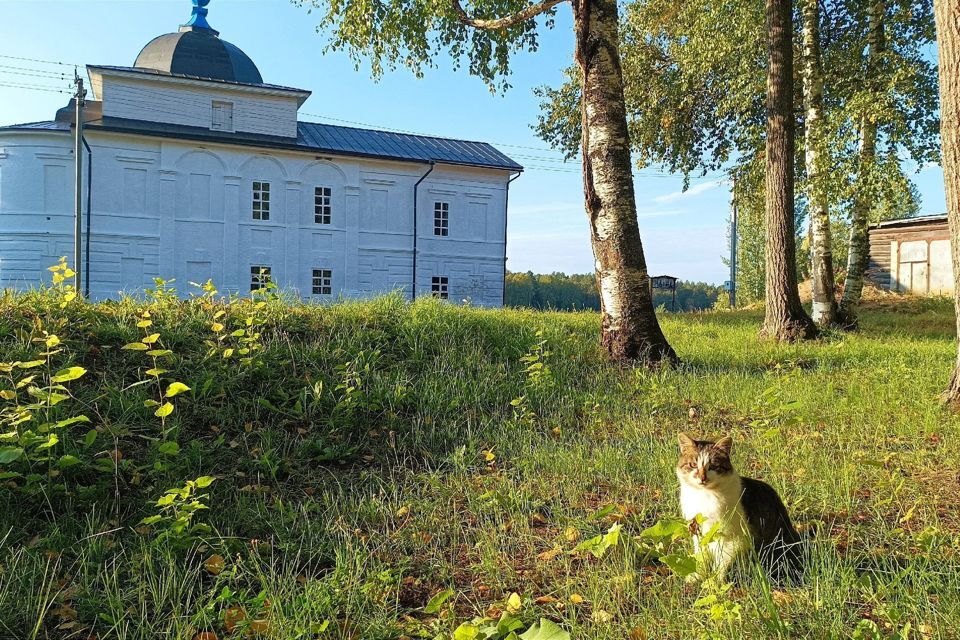 земля р-н Усть-Кубинский фото 1