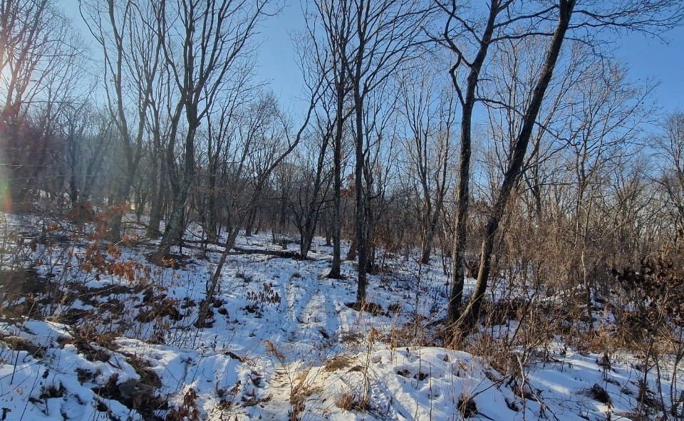 земля г Находка ул Хребтовая Находкинский городской округ фото 2