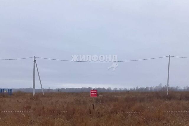 земля р-н Заельцовский пр-кт Красный Новосибирск городской округ фото