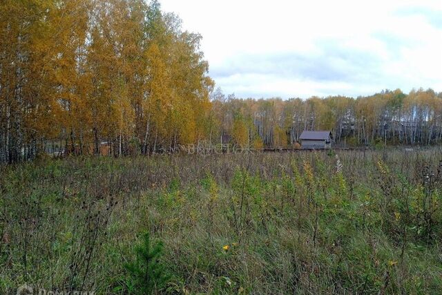 земля днт Березняки ул Бирюзовая фото