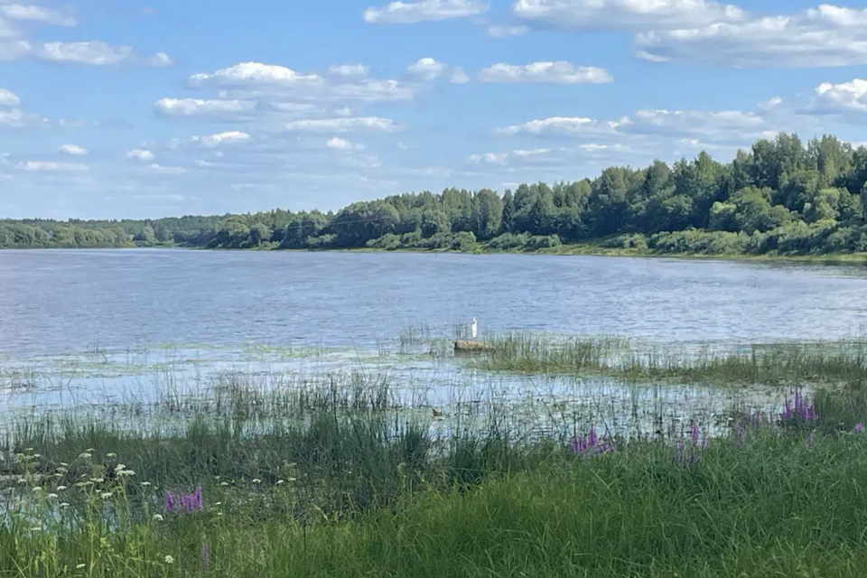 земля р-н Новгородский деревня Рышево фото 1