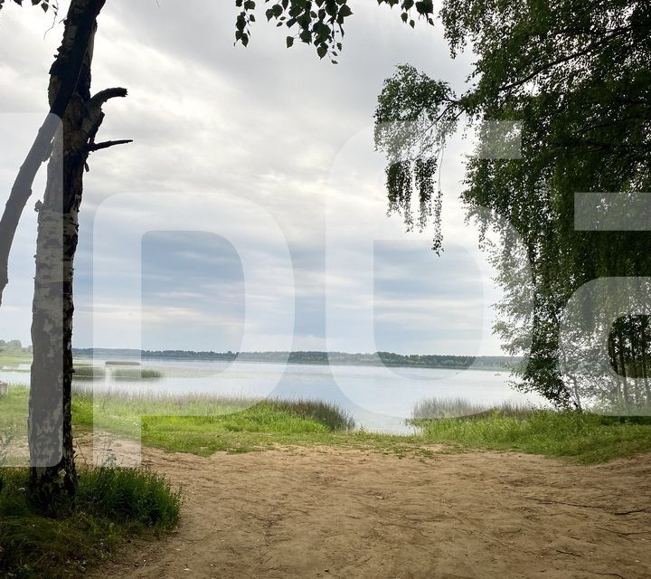 земля р-н Некрасовский фото 1