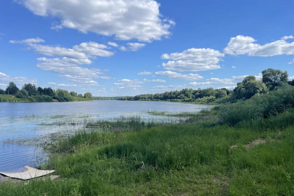 земля р-н Новгородский деревня Рышево фото 2