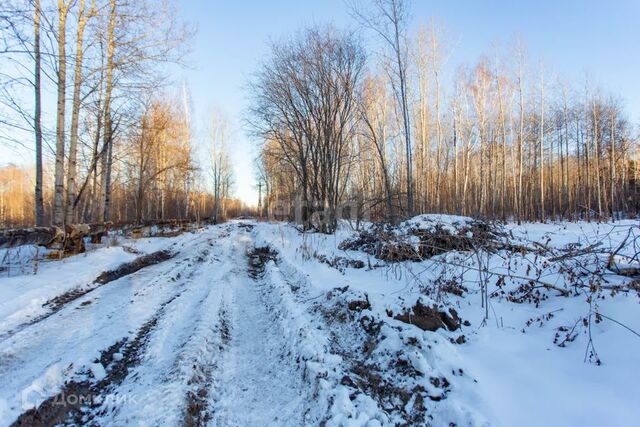 земля улица Центральная, 24, Тобольск городской округ фото