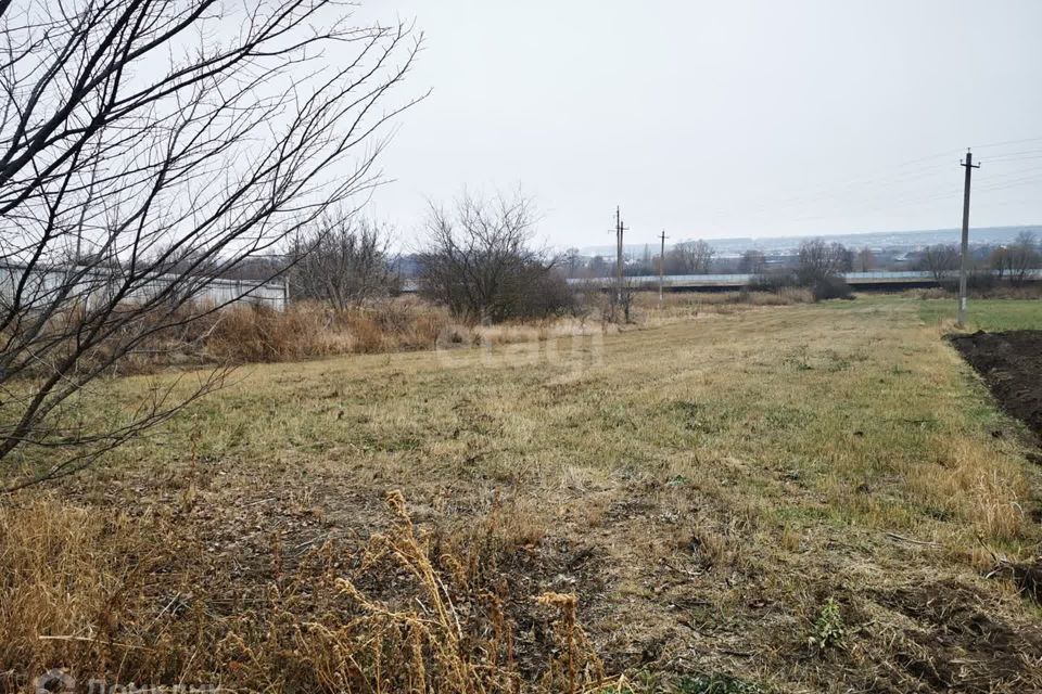 земля р-н Белгородский с Беловское ул Буханова Беловское сельское поселение фото 1