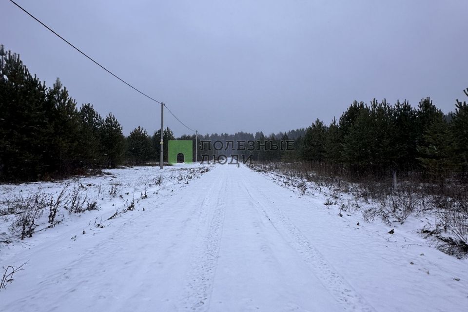 земля Киров городской округ, д. Олинцы фото 2