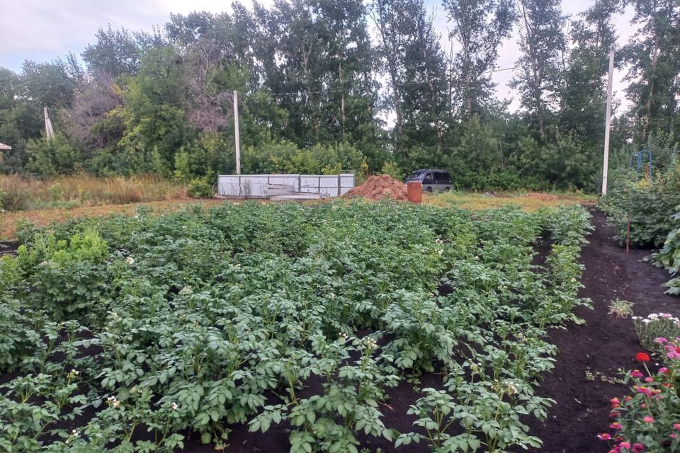 земля г Барнаул Барнаул городской округ, НОТ Овощевод фото 4