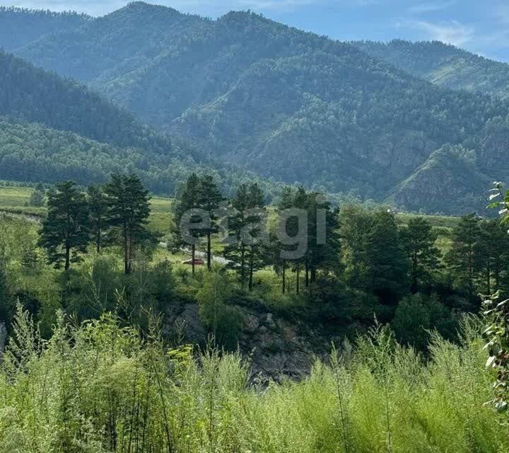 земля р-н Чемальский с. Чемал фото 5