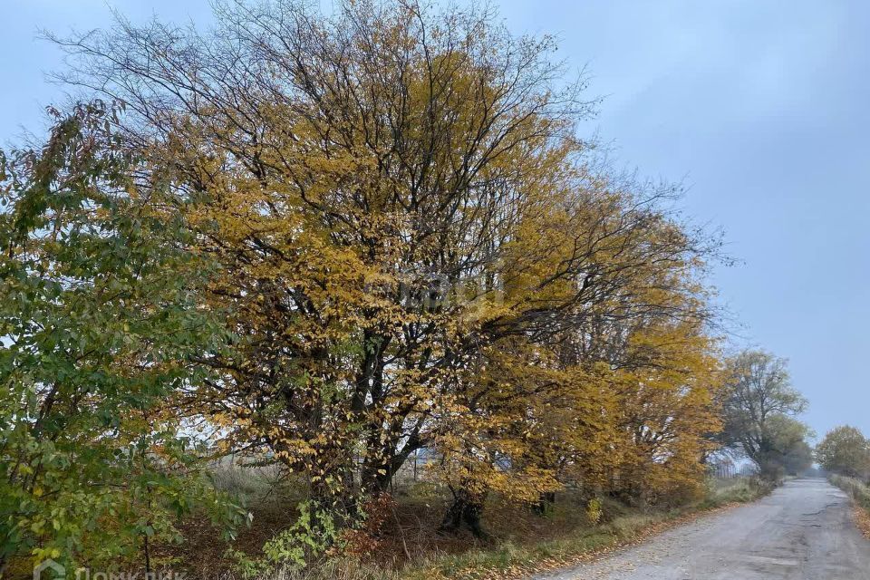 земля р-н Зеленоградский г Зеленоградск фото 8