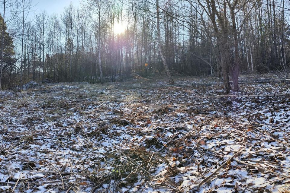 земля г Красноярск р-н Октябрьский Красноярск городской округ, СНТ Ветеран-6а фото 7