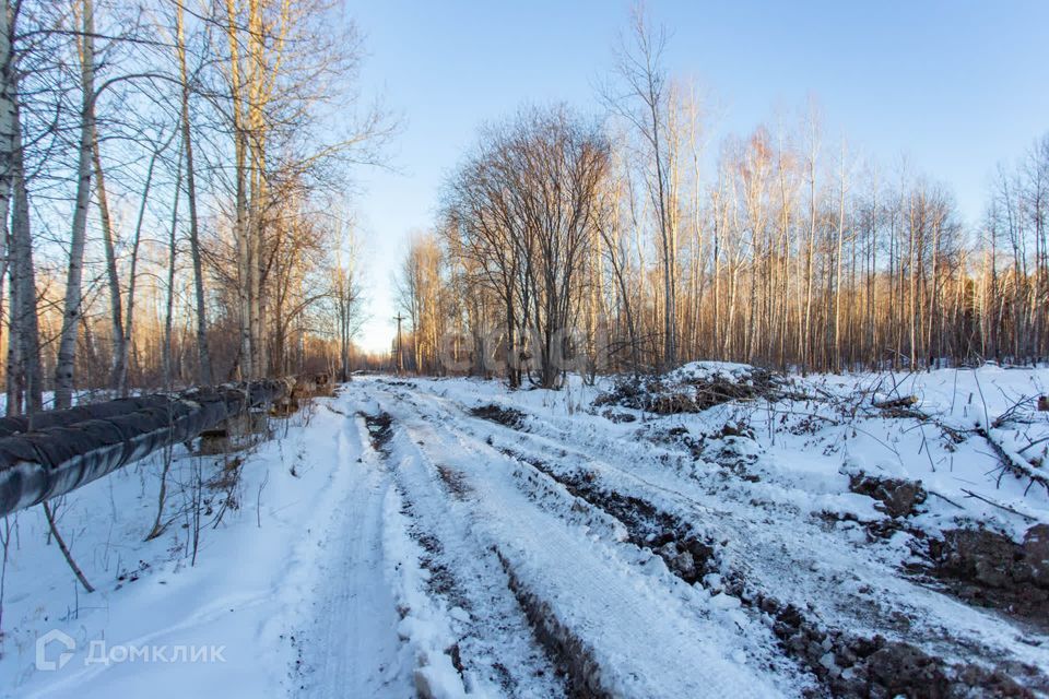 земля г Тобольск улица Центральная, 24, Тобольск городской округ фото 6