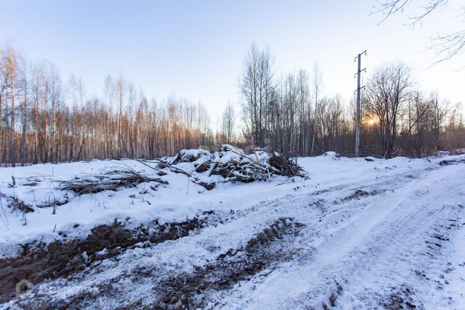 земля г Тобольск улица Центральная, 24, Тобольск городской округ фото 8