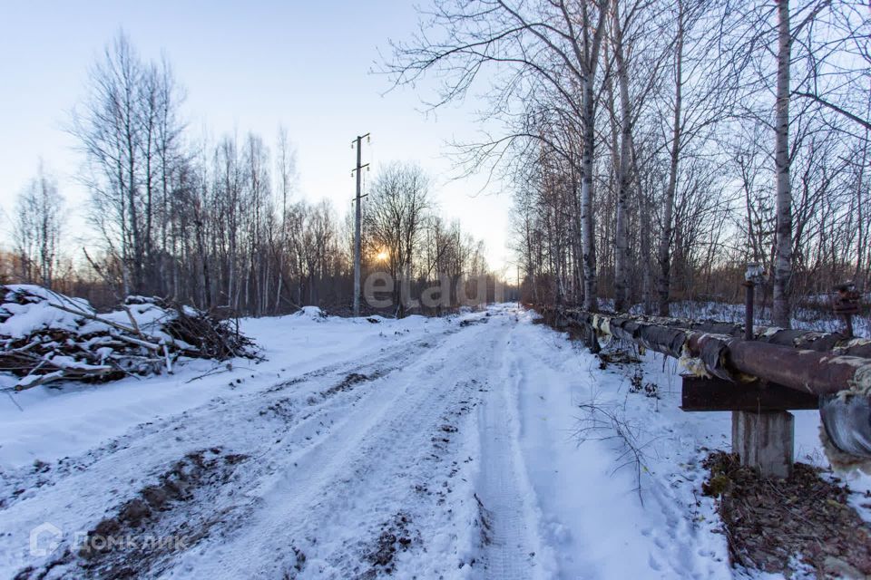 земля г Тобольск улица Центральная, 24, Тобольск городской округ фото 9