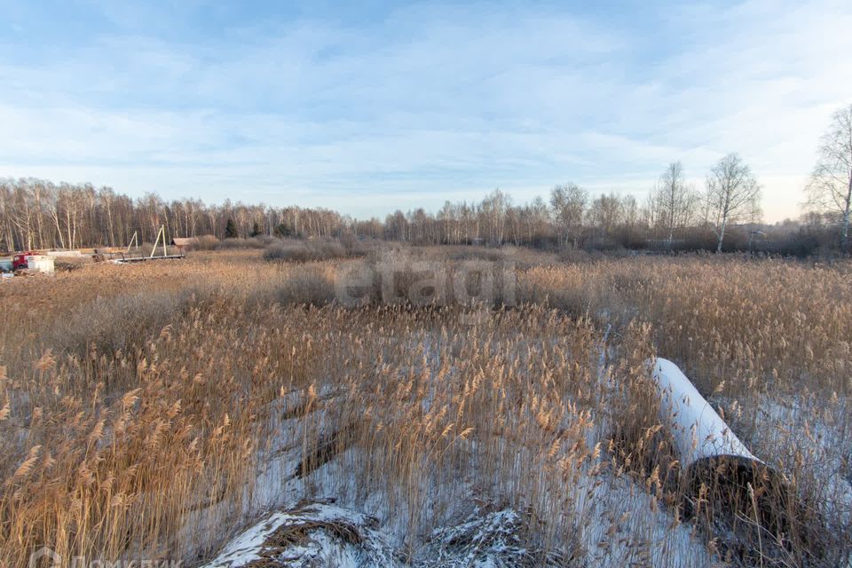 земля Тюмень городской округ, СО Фиалка, 4-я Фиалка с/о фото 10