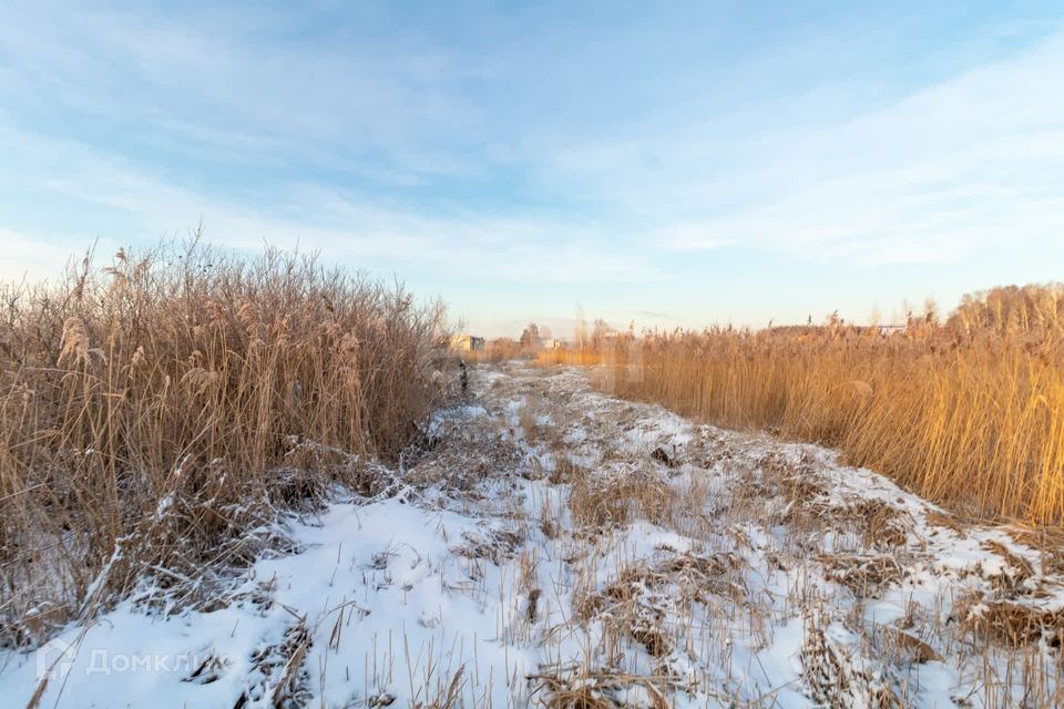 земля Тюмень городской округ, СО Фиалка, 4-я Фиалка с/о фото 8