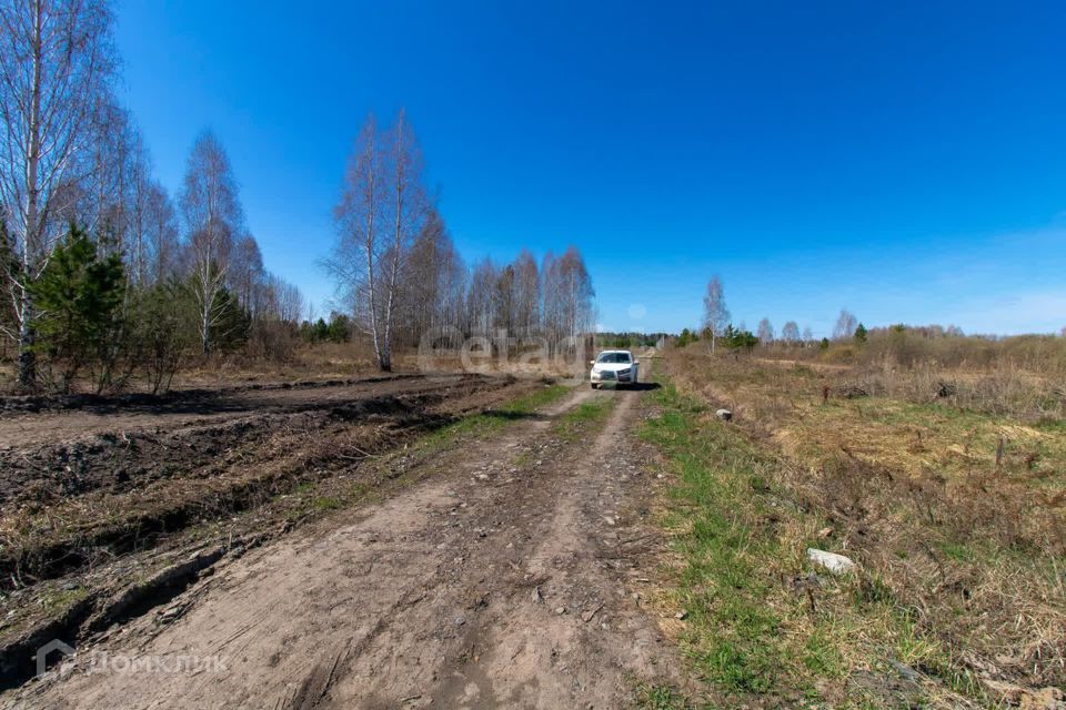 земля р-н Нижнетавдинский СНТ Берёзка фото 7