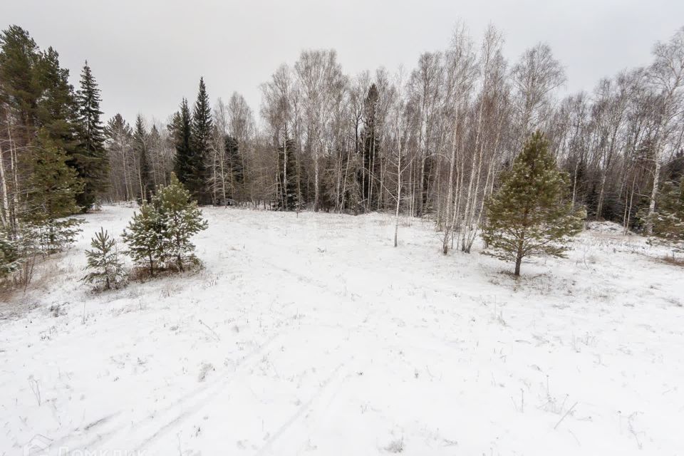 земля р-н Нижнетавдинский СНТ Аракчино, улица Приозерная фото 8