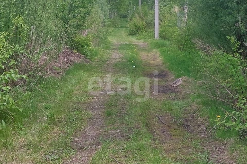 земля р-н Хабаровский фото 6