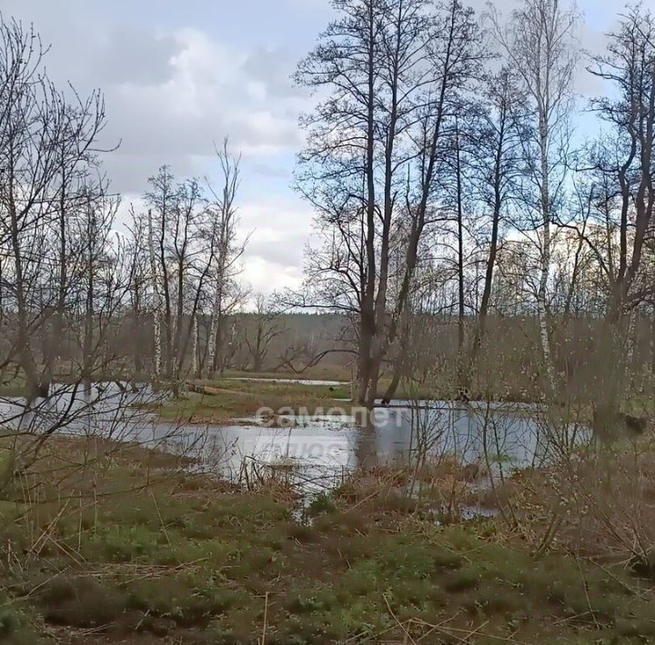 земля городской округ Орехово-Зуевский д Игнатово фото 2