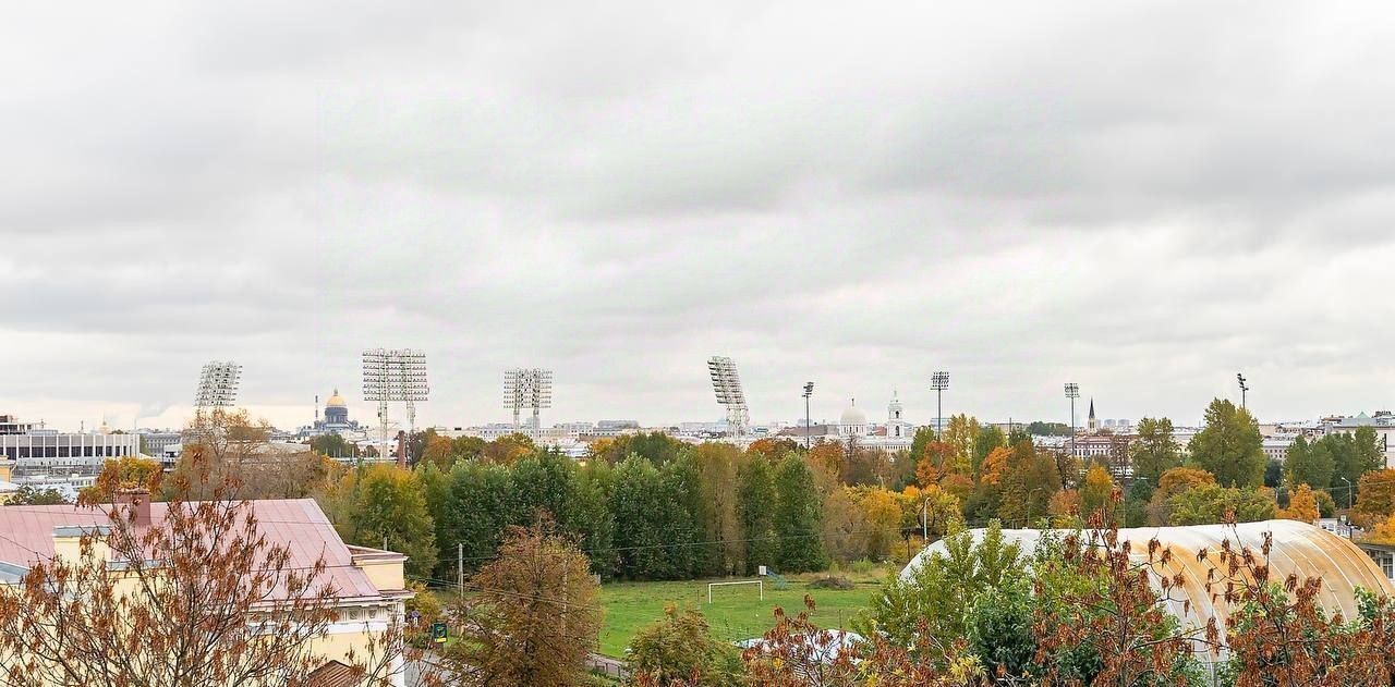 квартира г Санкт-Петербург р-н Петроградский ул Ждановская 29 округ Чкаловское, Петроградка фото 17