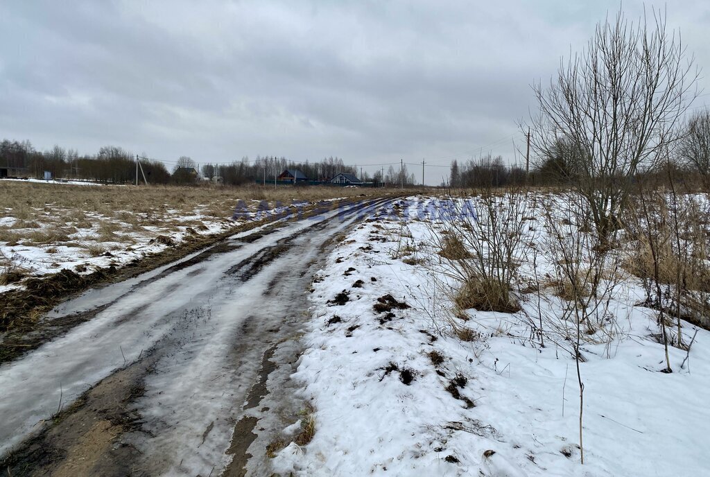 земля Переславль-Залесский муниципальный округ, село Троицкое фото 8