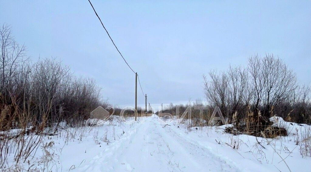 земля г Тюмень р-н Центральный снт Большое Царево-1 ТСН фото 3