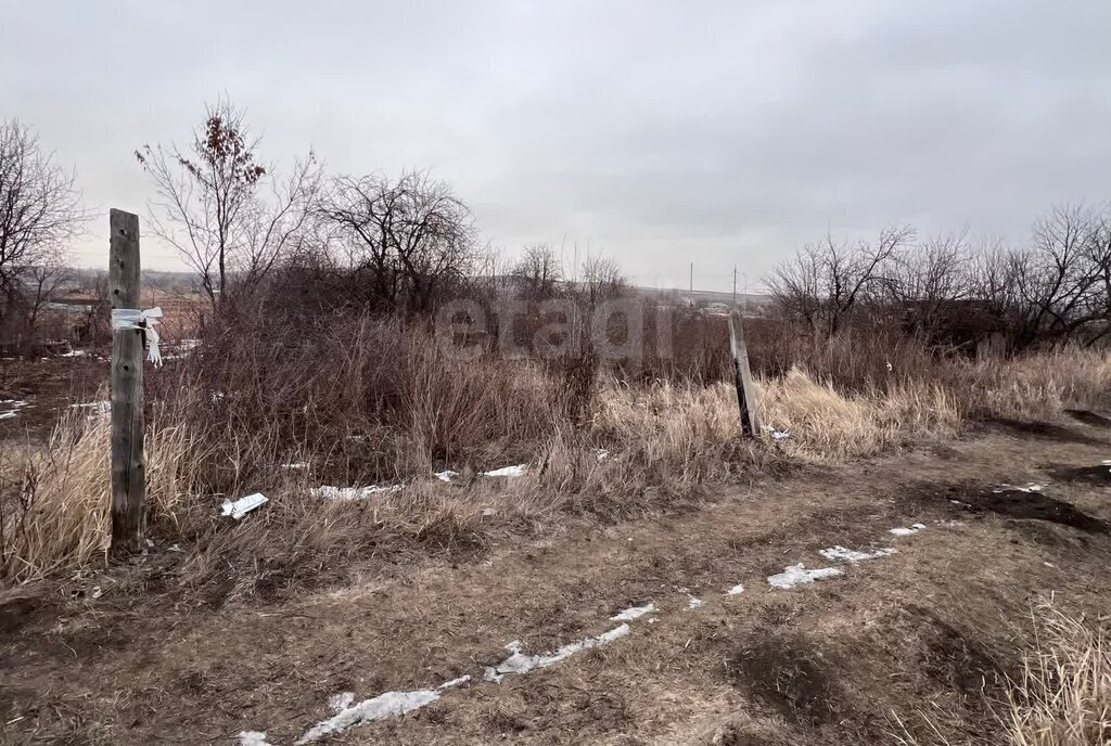 земля р-н Саратовский п Расково ул Мирная фото 1