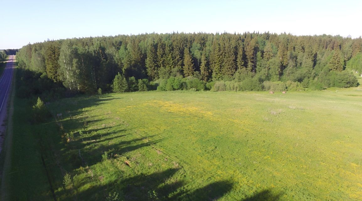 земля городской округ Шаховская с Середа тер., ул. Лесной Городок, Лесной Городок фото 8